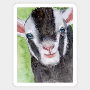 Little goat Sticker